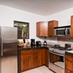 kitchen villa rental costa rica