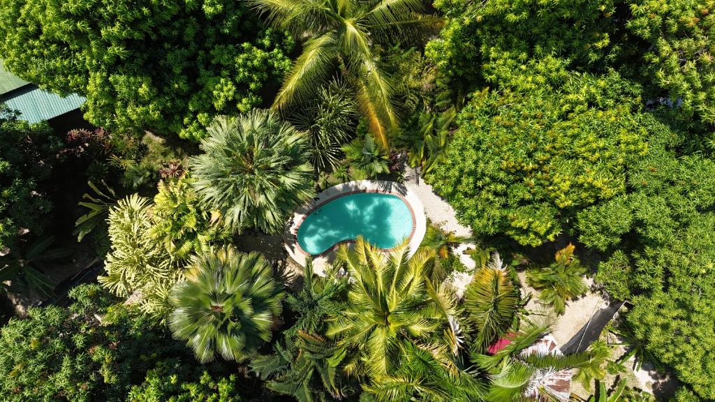 Aerial view of Luz de Luna boutique hotel in Santa Teresa Costa Rica with jungle surroundings and pool