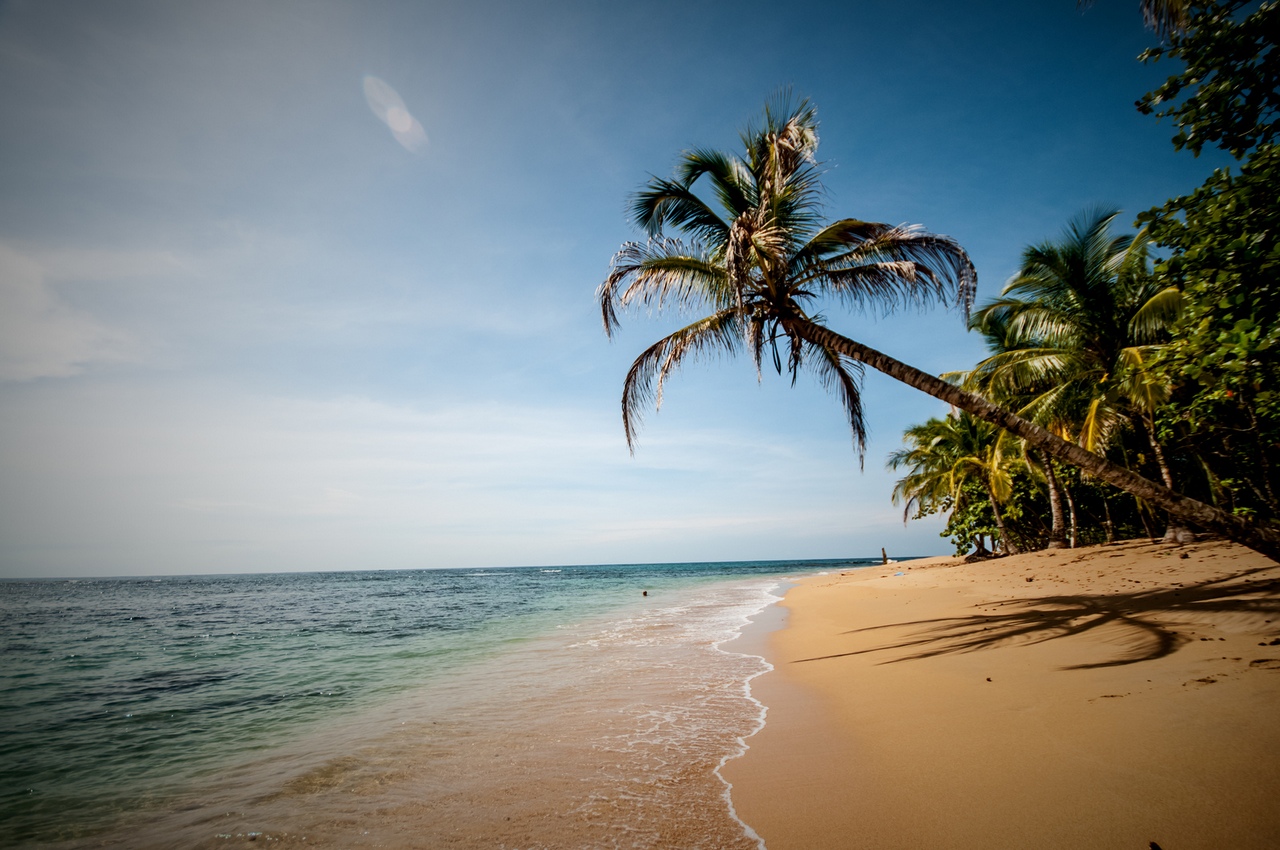 Pristine Caribbean beach in Punta Uva and Manzanillo Costa Rica with palm trees and turquoise water