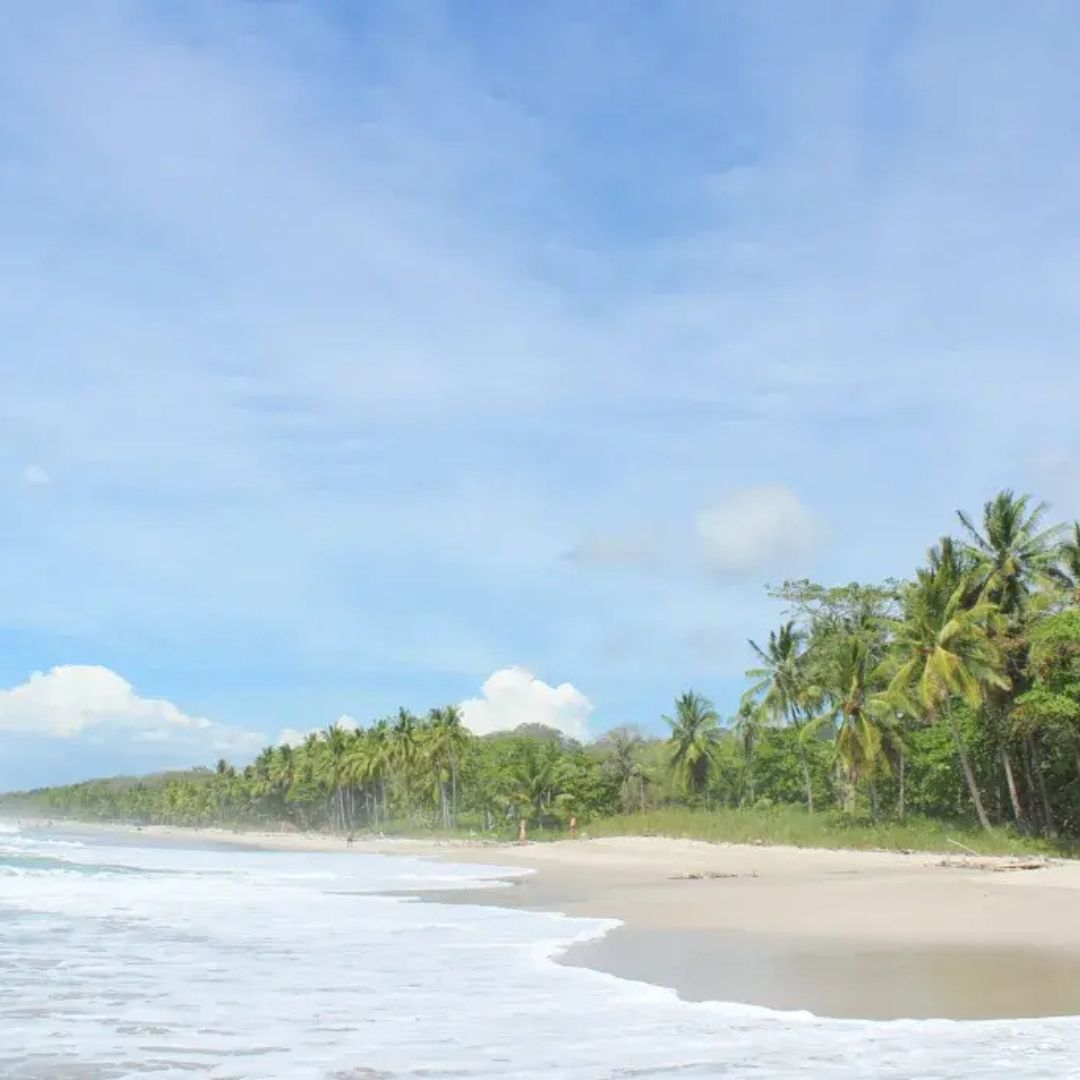 Wild beach in Santa Teresa Costa Rica with jungle and Pacific coastline