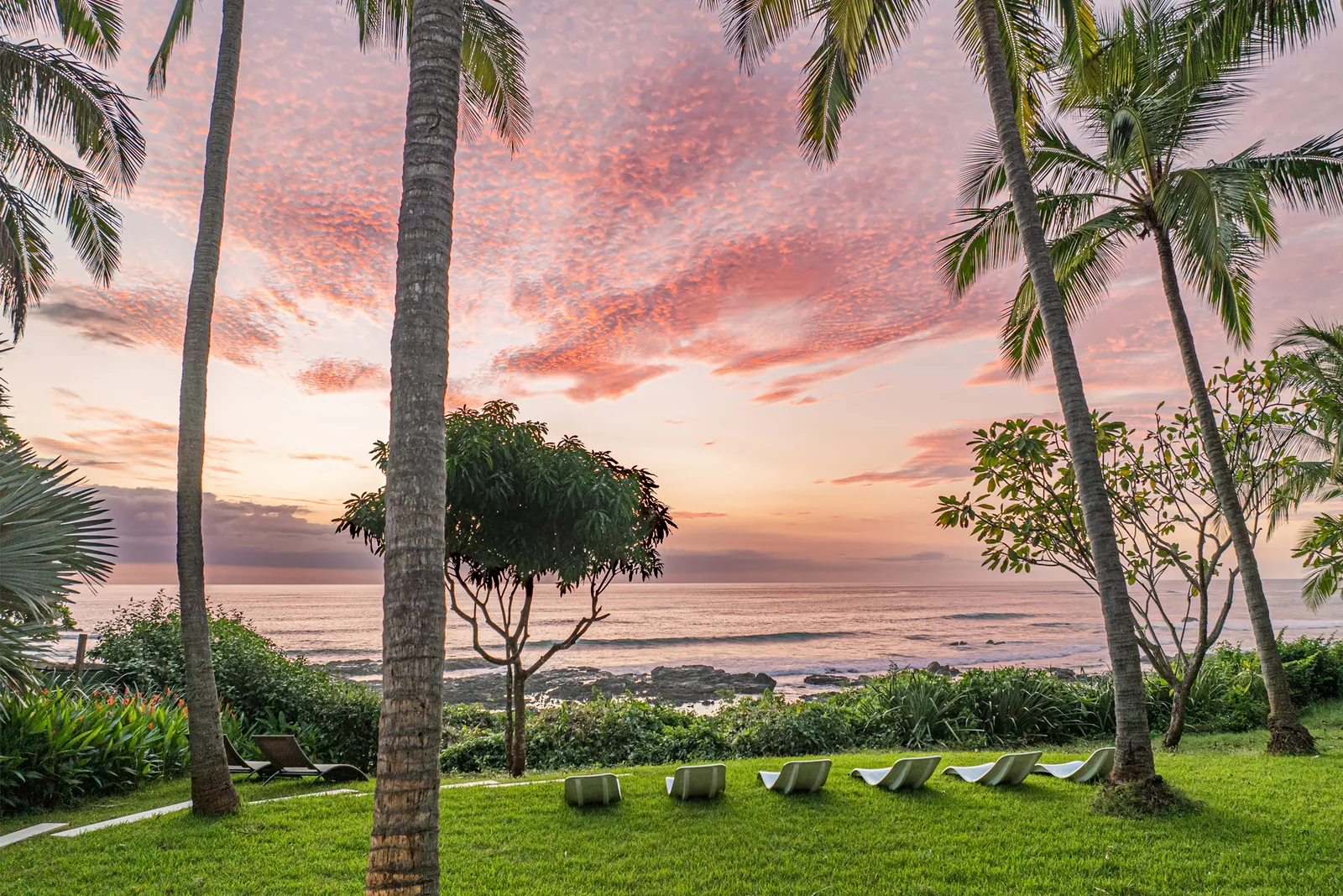 Jardin bordé de palmiers face au coucher de soleil
